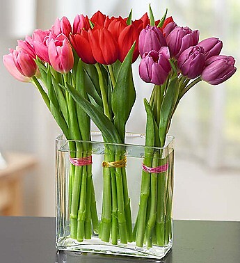 Modern Tulips for Your Valentine