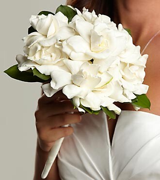 The Champagne Dreams™ Bouquet