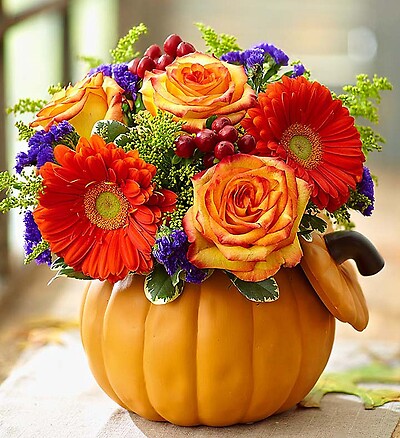 Pumpkin Petals™