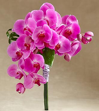 The Glorious™ Bouquet